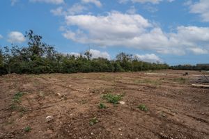 Photo 22- click for photo gallery